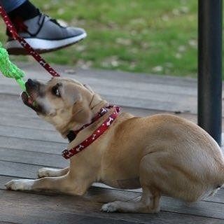 Power Unit Productions