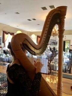 Joanna's Harpist Business
