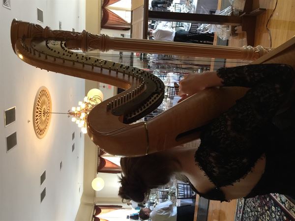 Joanna's Harpist Business