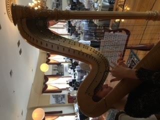 Joanna's Harpist Business