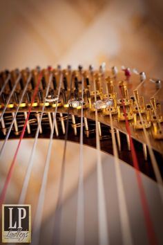 Joanna's Harpist Business