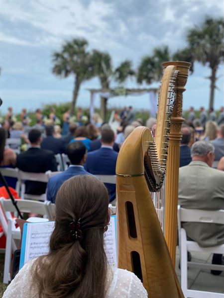 Joanna's Harpist Business
