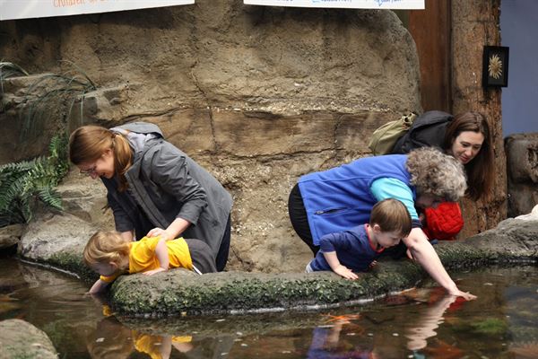 SEA Discovery Center