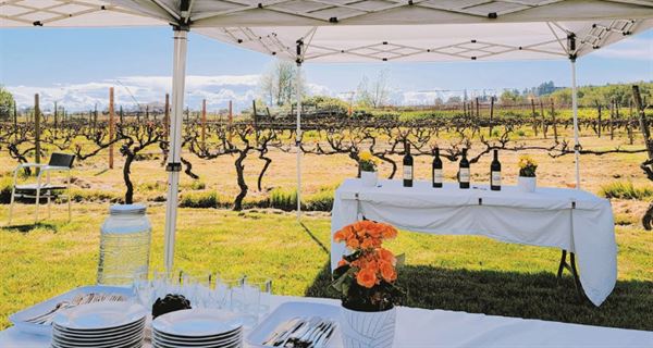 Vinoscenti Vineyards