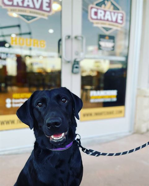 Crave Hot Dogs & BBQ