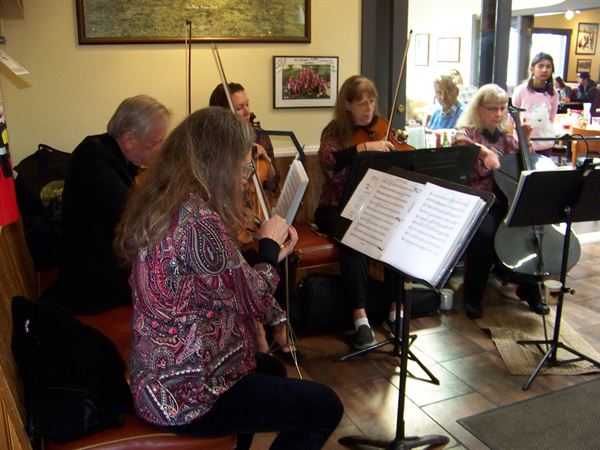 Ptarmigan String Quartet