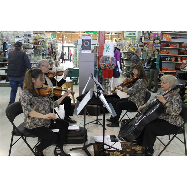 Ptarmigan String Quartet