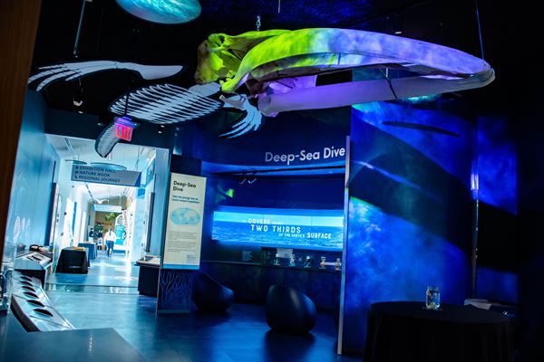 Delaware Museum of Nature and Science