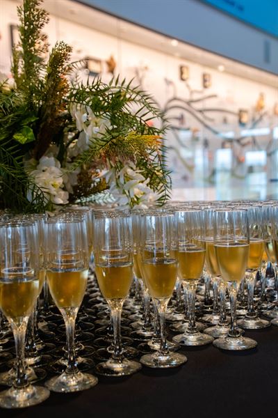 Delaware Museum of Nature and Science