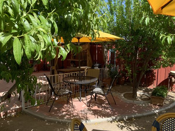 Happening Honeysuckle