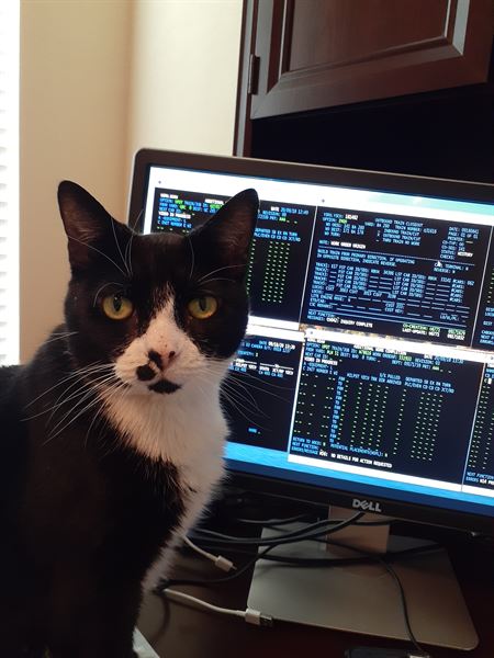 DJ Jam Master Jay Productions