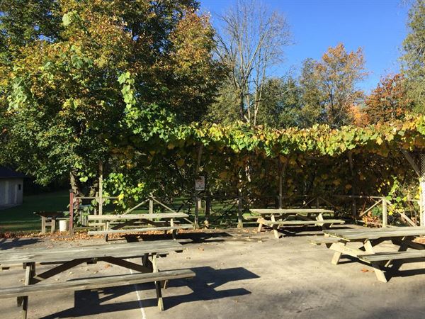 The Canadian Schwaben Sick Benefit Association