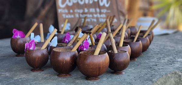 Last Call Bartending