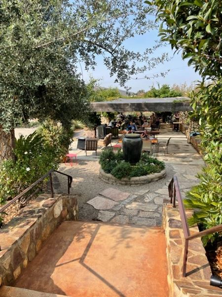 Vineyard Grant James