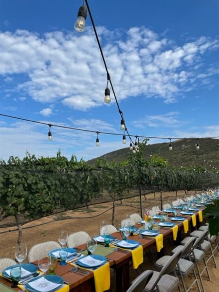 Vineyard Grant James