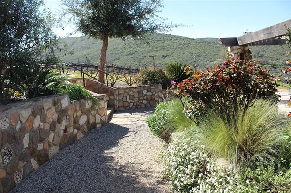 Vineyard Grant James