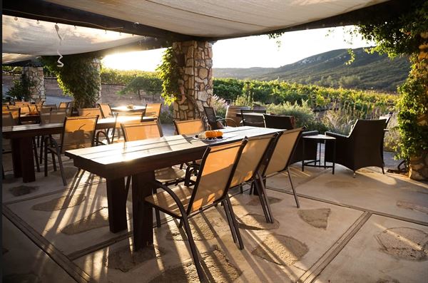 Vineyard Grant James