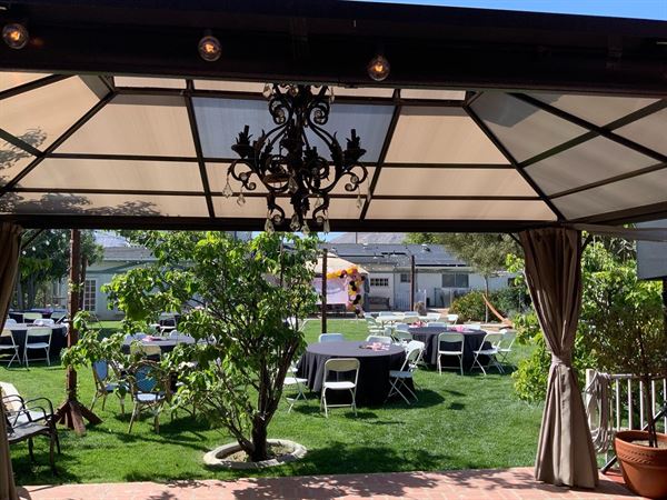 Happening Honeysuckle