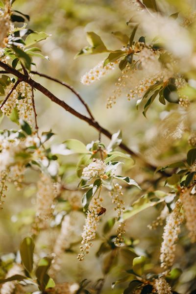 Creekside Inn Sedona