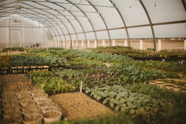 The Barn at Fresh City Farms