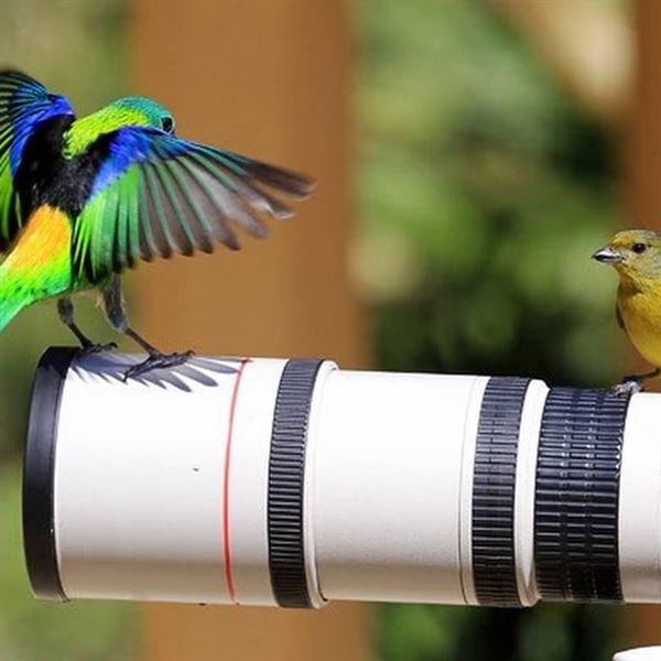 East Coast Event Planners Offering Photography & Videography