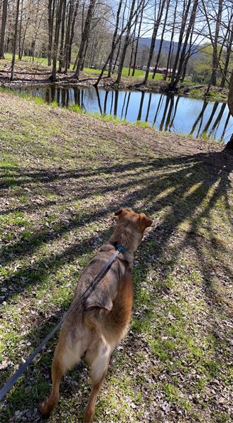 Plum Good Campground
