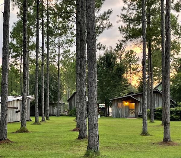 Owl and Moon Event Venue