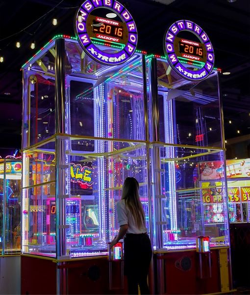 The Lucky Snake Arcade