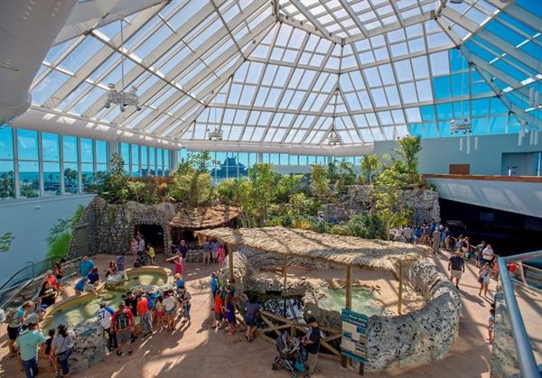 Texas State Aquarium