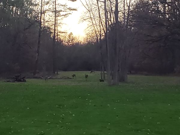 Stockman's Tavern & Grove