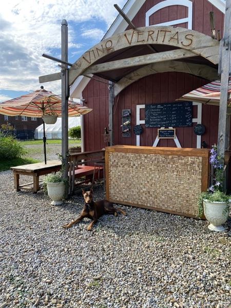 Old Brooklyn Wine Vines & Venue