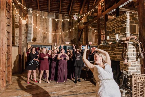 Stone Barn Farm and Vineyard