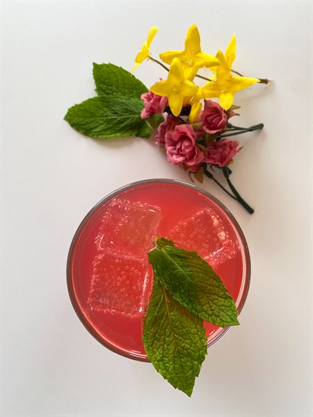 Twisted Bar Services