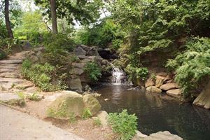 The Pool and South Lawn