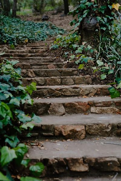 The Oaks at Duncan Lane