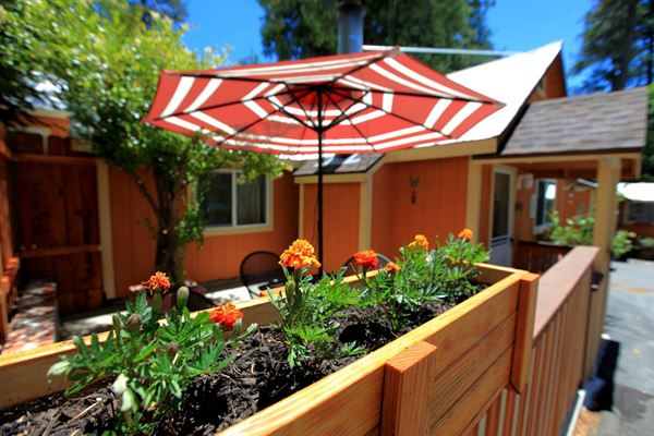 ARROWHEAD TREETOP LODGE