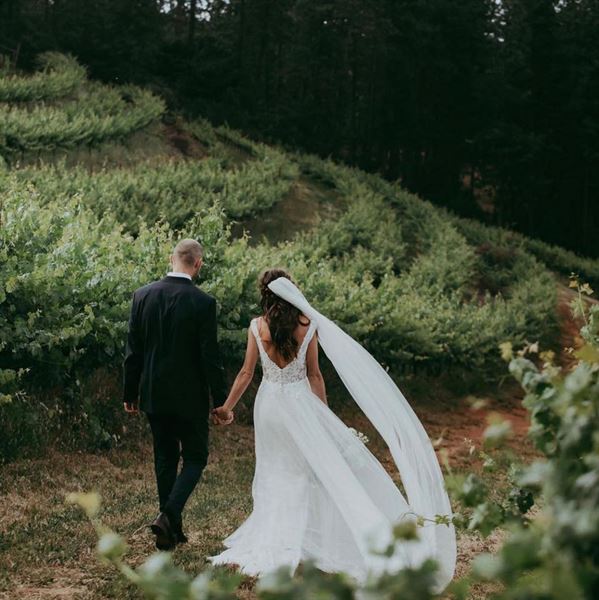 Lucchesi Vineyards & Winery