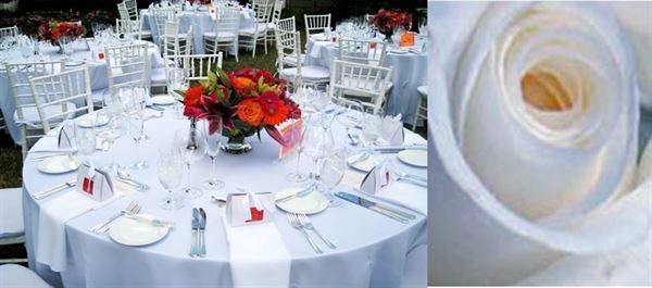 Julia Morgan Redwood Grove