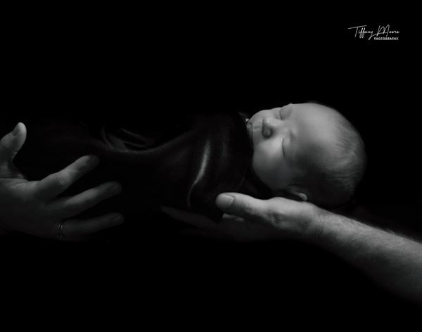 Tiffany's View Photography