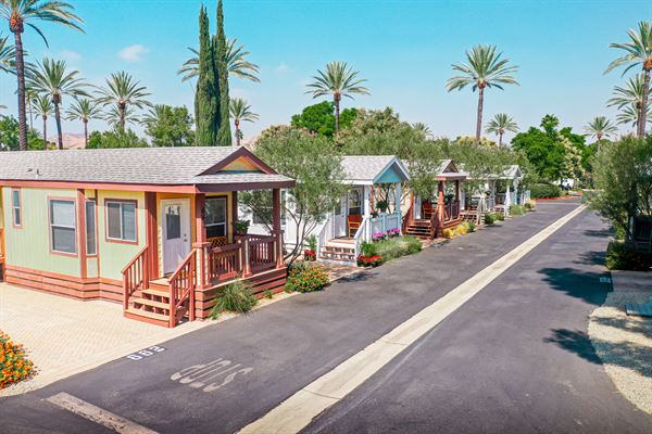 Golden Village Palms