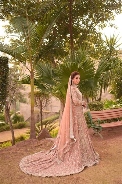 Pixels Photo and Films