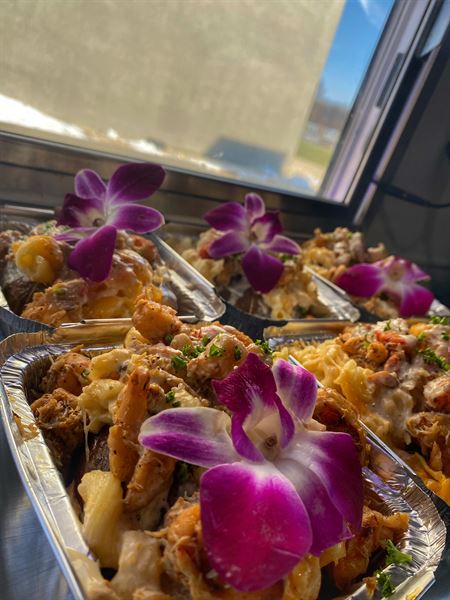 Mellie Bellies Southern Barbeque