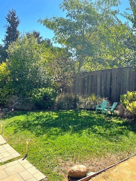 The Nurtured Seedling