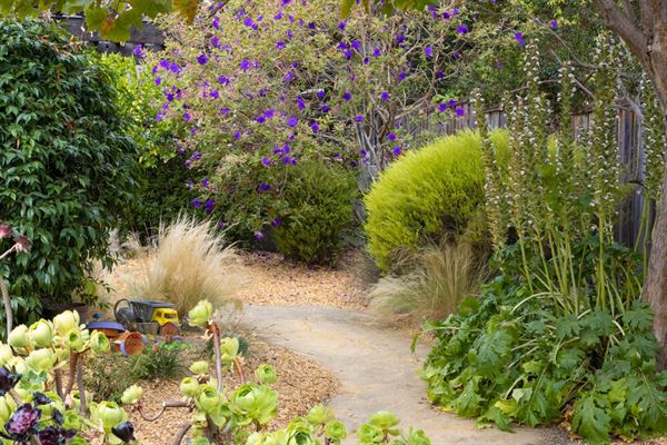 The Nurtured Seedling