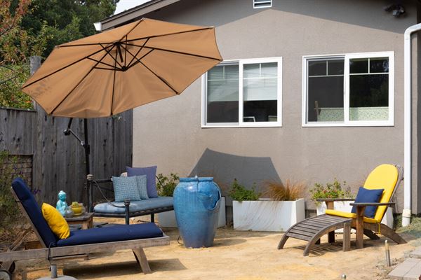 The Nurtured Seedling