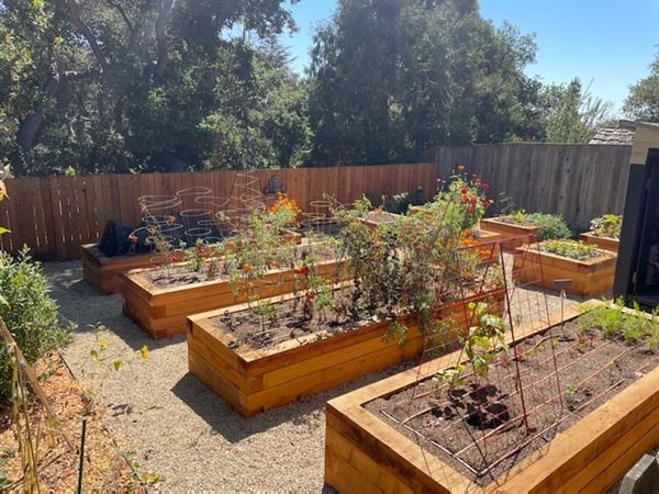 The Nurtured Seedling