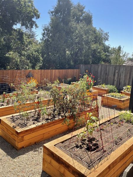 The Nurtured Seedling