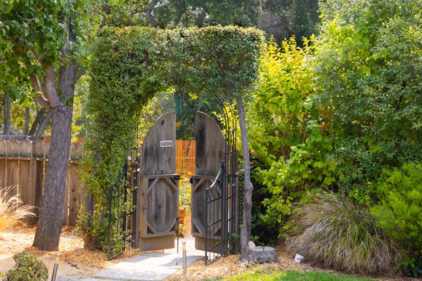 The Nurtured Seedling