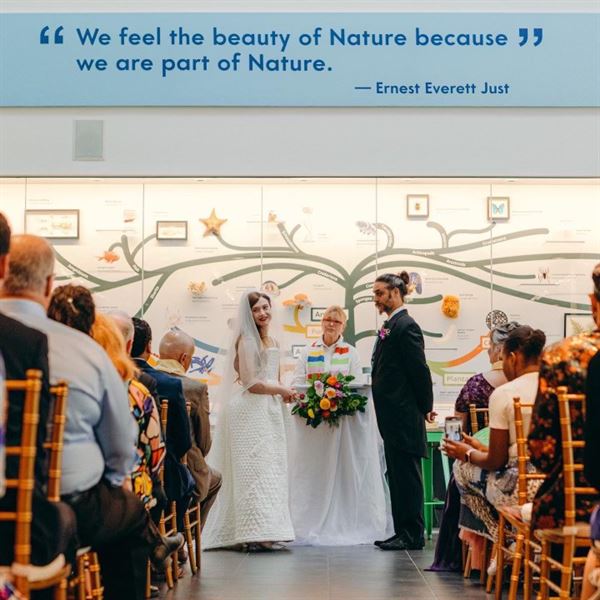 Delaware Museum of Nature and Science