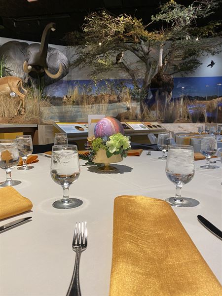 Delaware Museum of Nature and Science